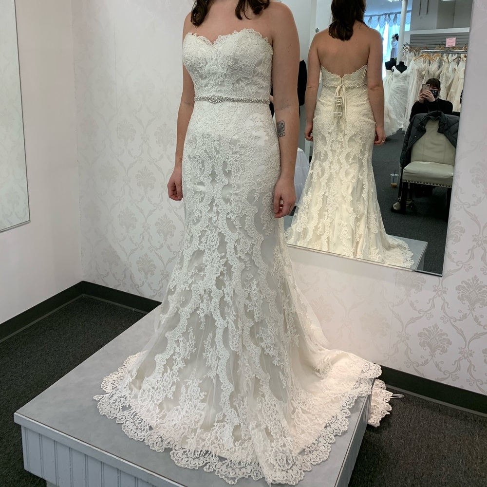 Mermaid Fit & Flare Lace Wedding Gown